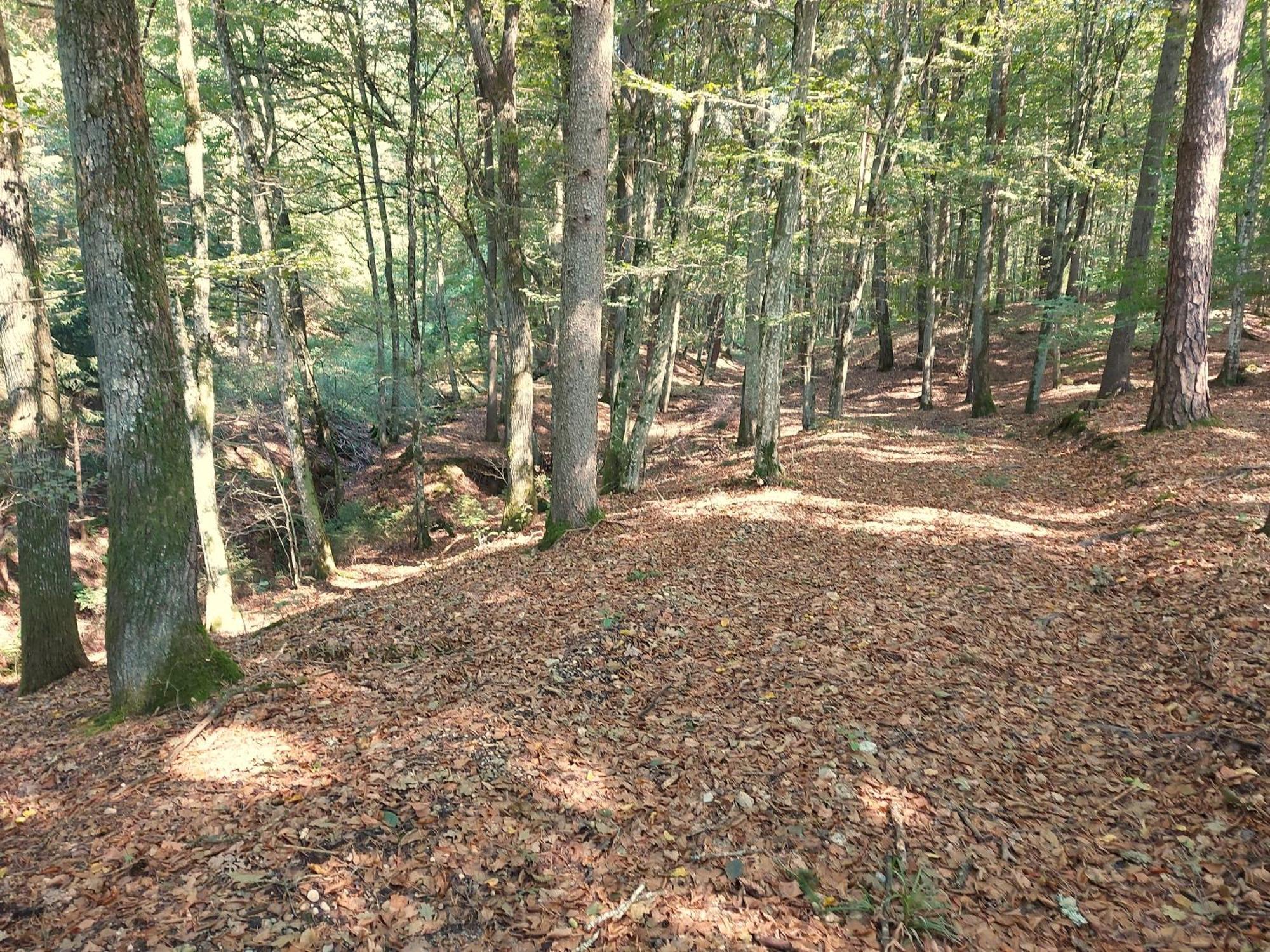 Landhaus Annmarie Limbach im Burgenland Exteriér fotografie